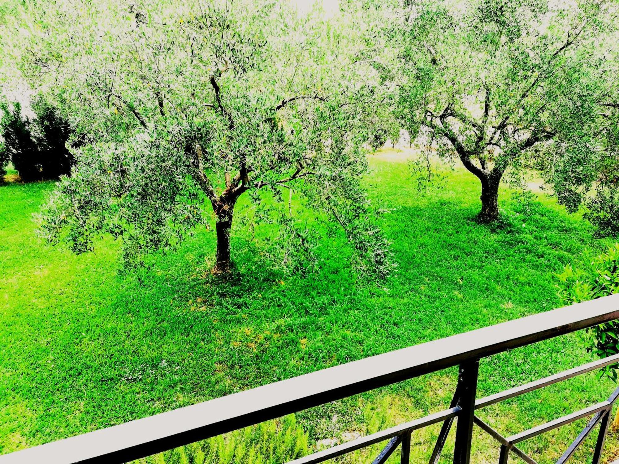 Giorgos Apartments. Skála Foúrkas エクステリア 写真